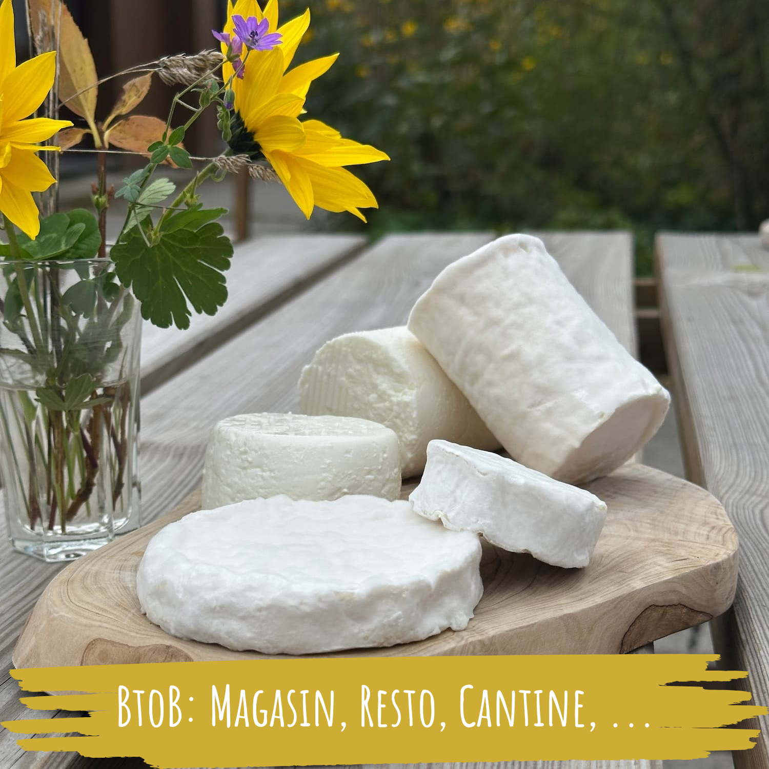 
Lien vers: https://chevrerie-croixdelagrise.be/?fromages2b2