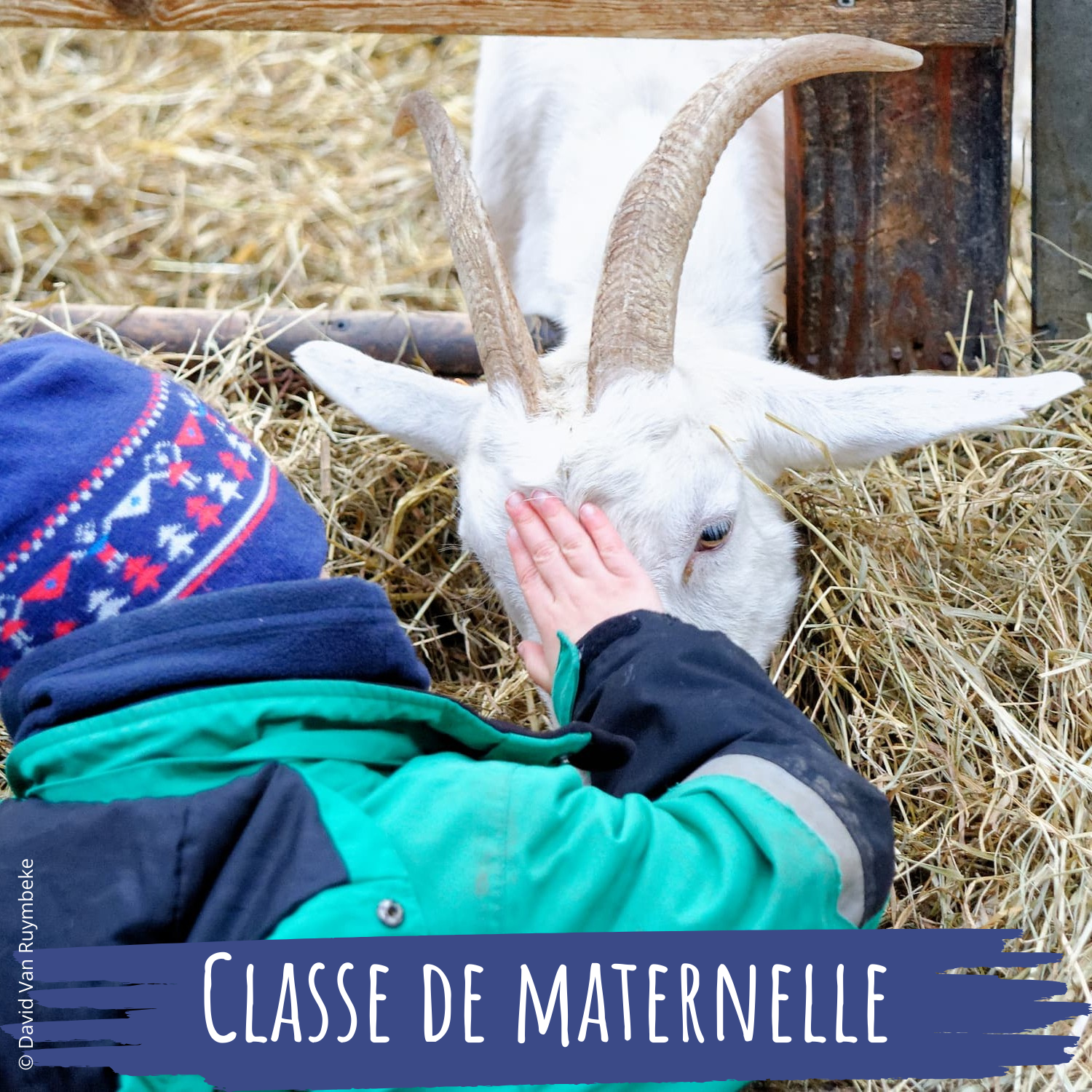 Lien vers: https://chevrerie-croixdelagrise.be/?inforeservationmaternelles