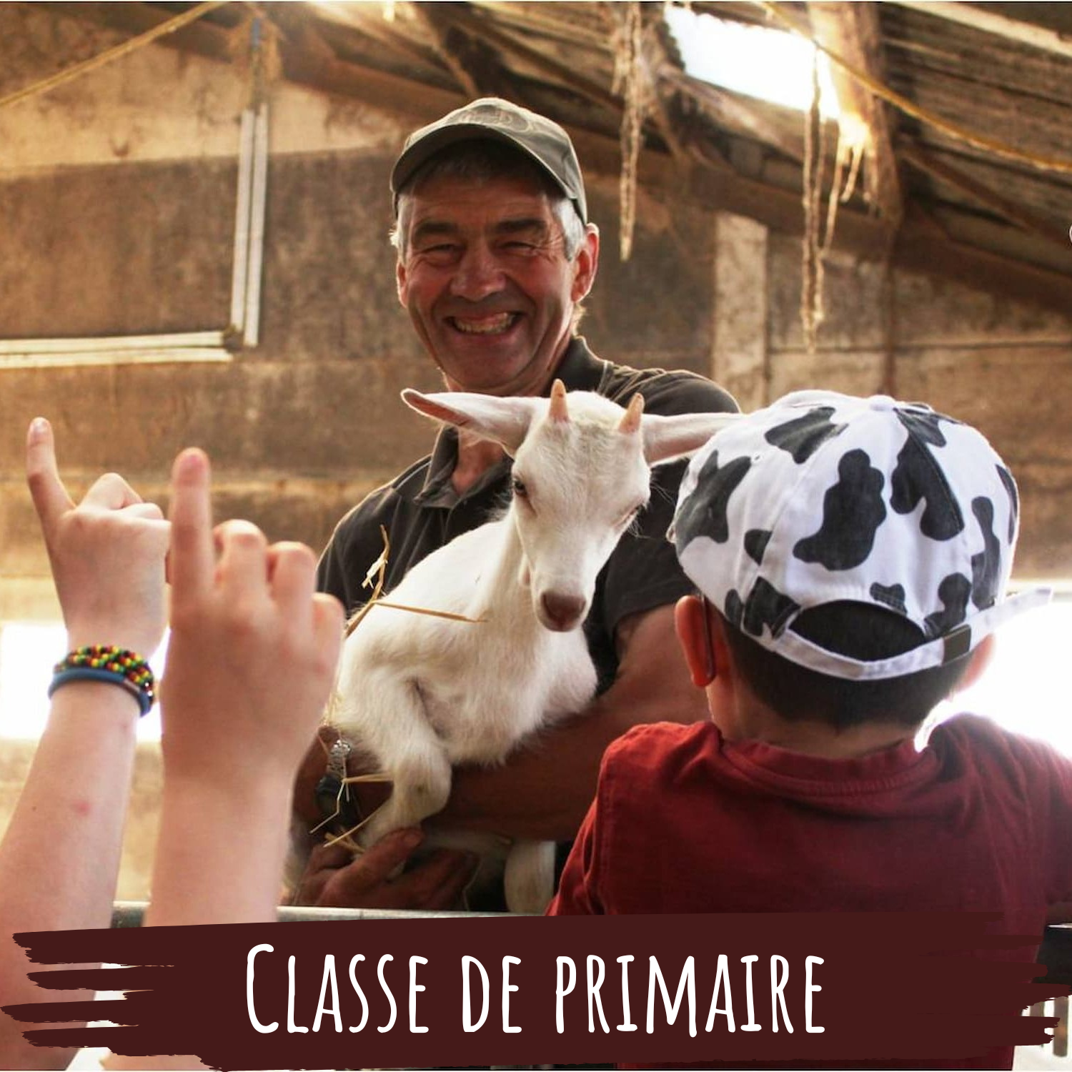 Lien vers: https://chevrerie-croixdelagrise.be/?inforeservationprimaire