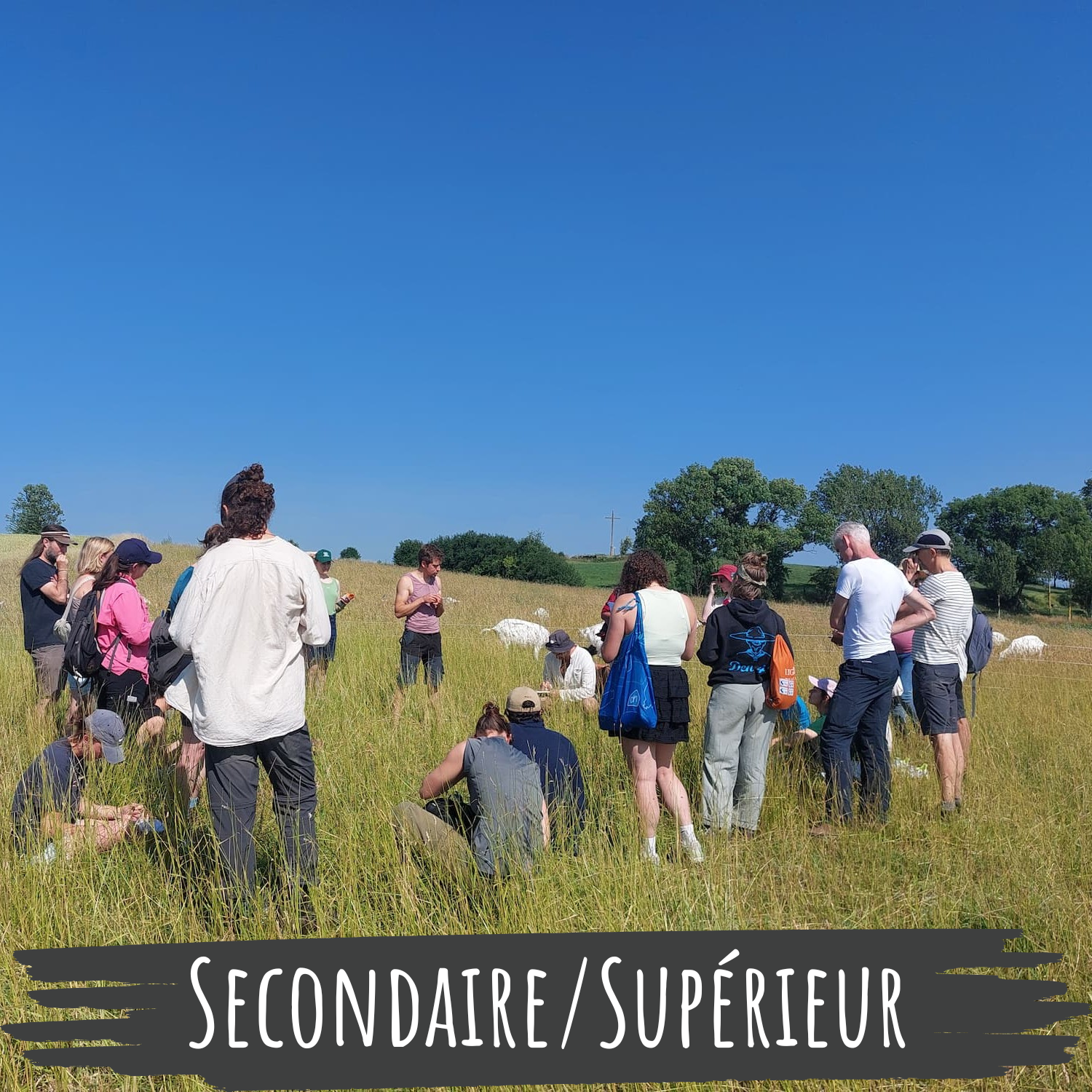 Lien vers: https://chevrerie-croixdelagrise.be/?inforeservationsecondaireetsuperieur