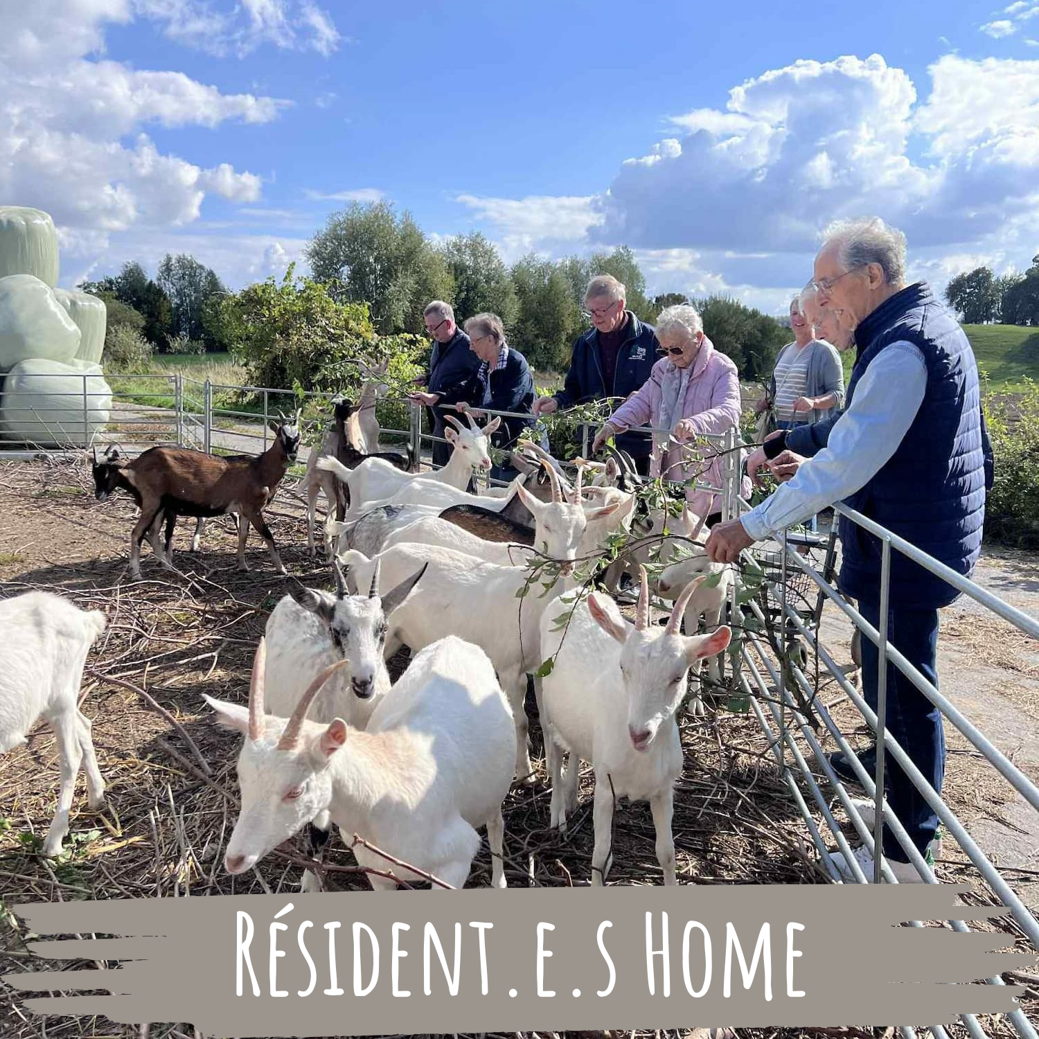 Lien vers: https://chevrerie-croixdelagrise.be/?inforeservationhome